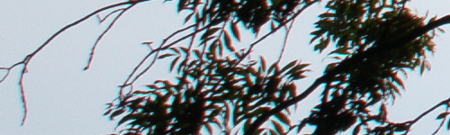 Canon EF-M 15-45mm f/3.5-6.3 IS STM