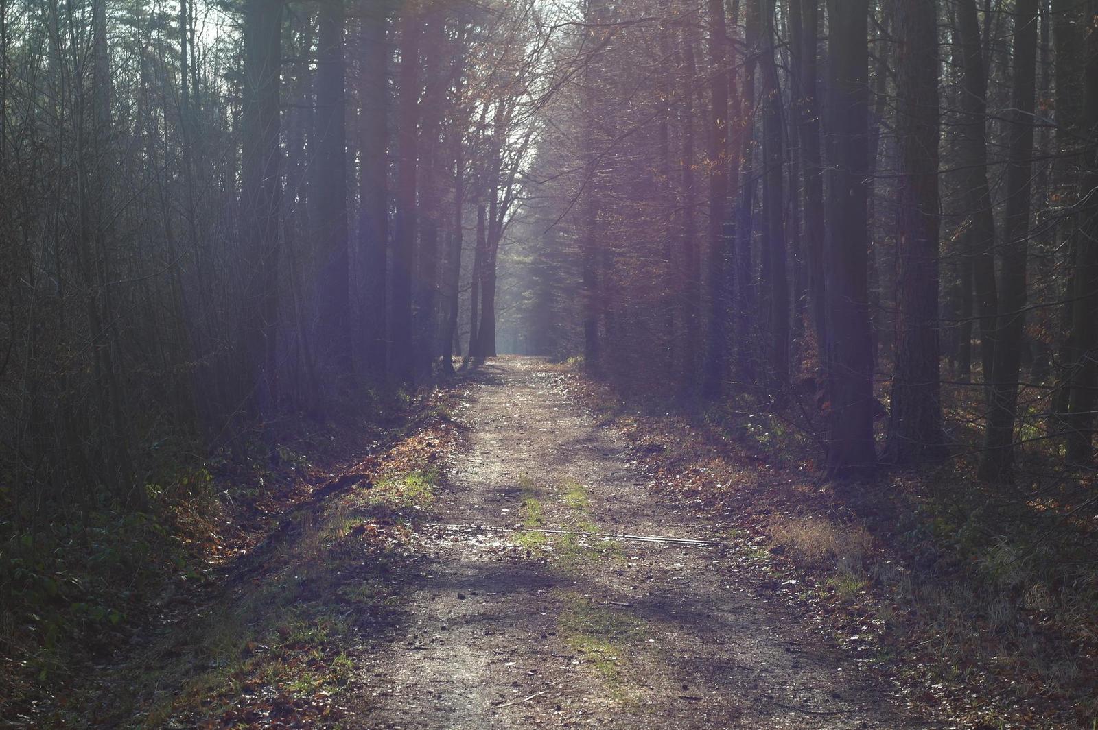 Olympus OM G.Zuiko 50mm f/1.4 "silver-nose"