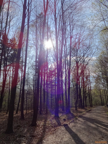 Sony Cyber-shot WX100: maličký silák