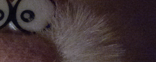 Nokia 808 PureView: mobilní zrcadlovkobijec