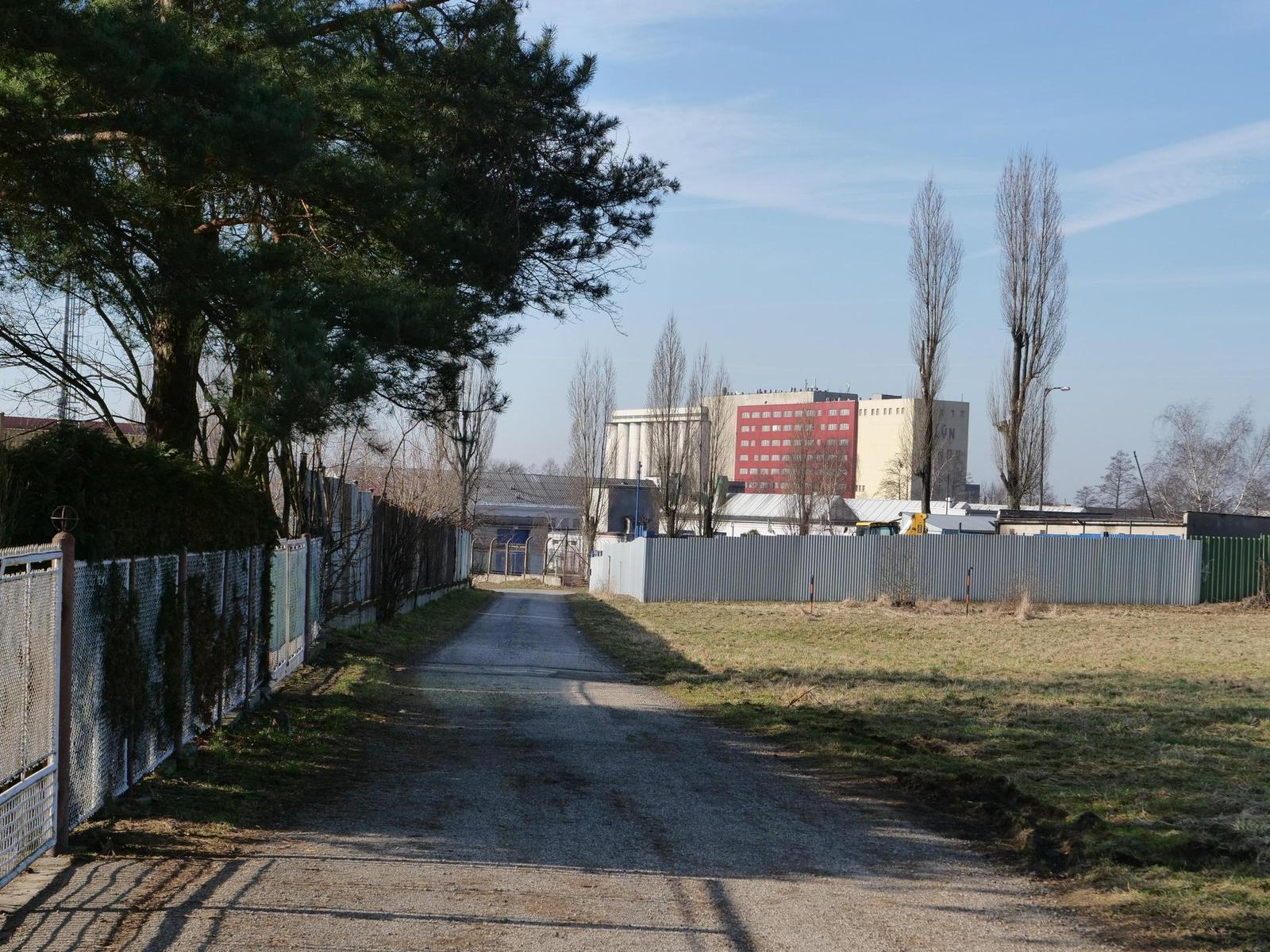 Panasonic Lumix GH5: video-profesionál