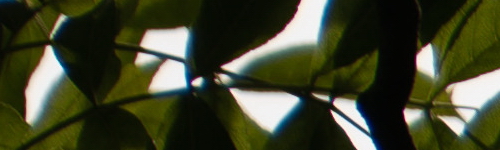 Panasonic Lumix S Pro 70-200mm F4 O.I.S.