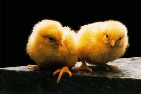 Světlo aneb nástroj každého fotografa - 3. díl