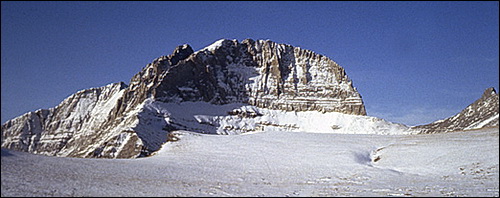 Zrcadla minulosti: historie Olympus DSLR