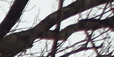 Samsung EX2F: významný krok vpřed