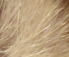 Sony Cyber-shot W350: šikovný prcek