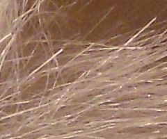 Nikon Coolpix S5100: krok vpřed