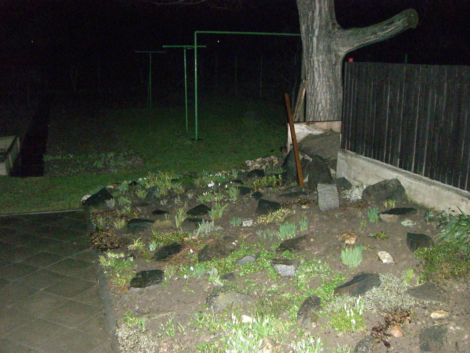 Casio Exilim Card EX-S600: Asijský plátek na fotografický způsob