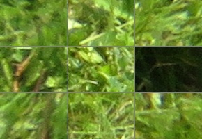 Canon PowerShot SX720 HS: kapesní šmírování