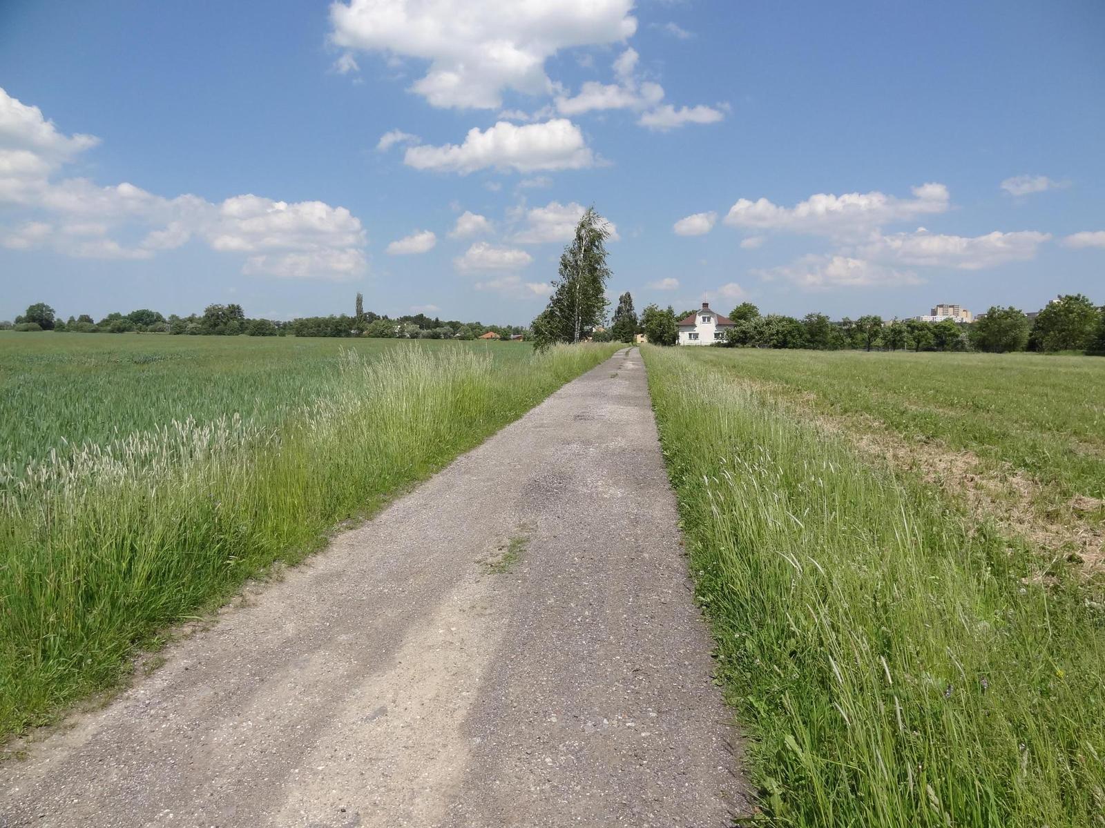 Sony Cyber-shot HX9V: král kapesních ultrazoomů?