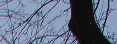 Megatest ultrazoomových objektivů