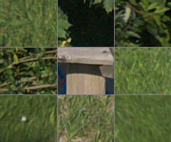 Panasonic Lumix G Vario 100-300mm F4-5,6