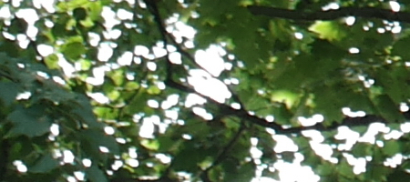 Olympus OM Zuiko 28mm f/2.8 (OM)