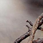 Minolta DiMAGE Dual Scan III: Profík za amatérskou cenu!