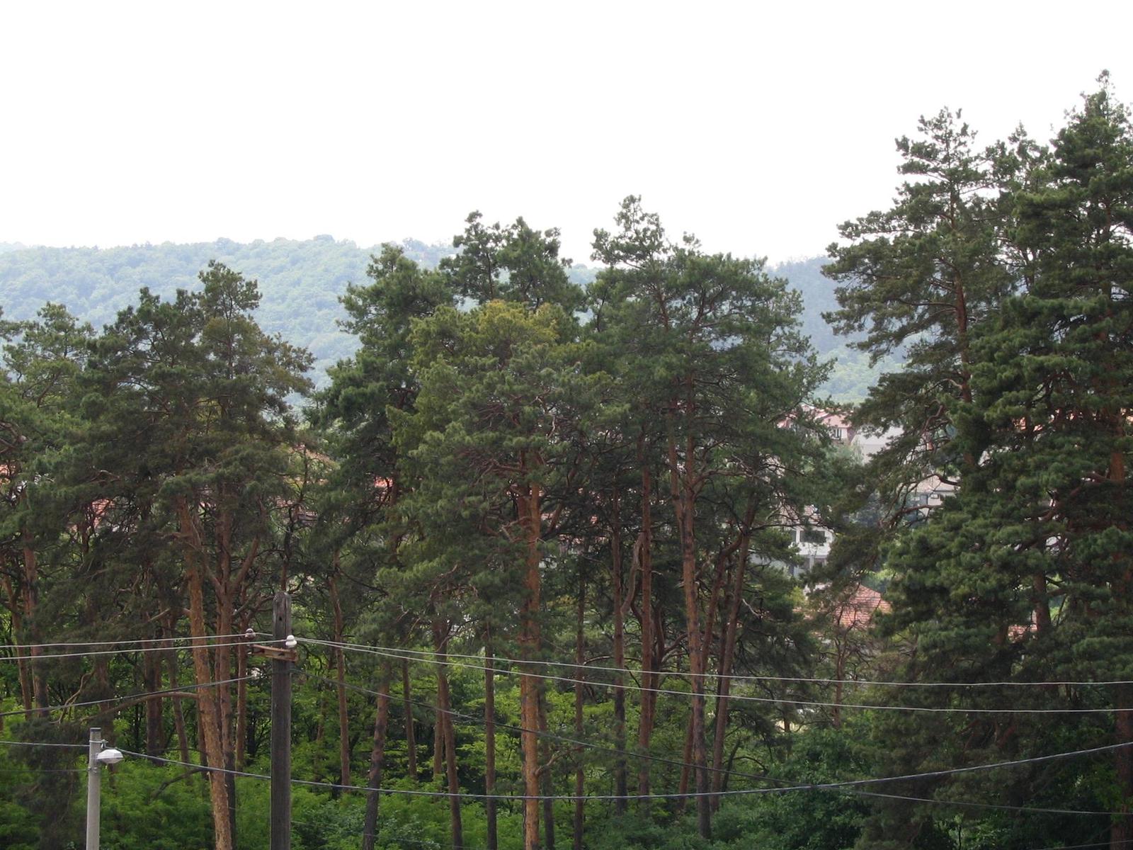 Canon PowerShot A75: S manuálem na věčné časy a nikdy jinak