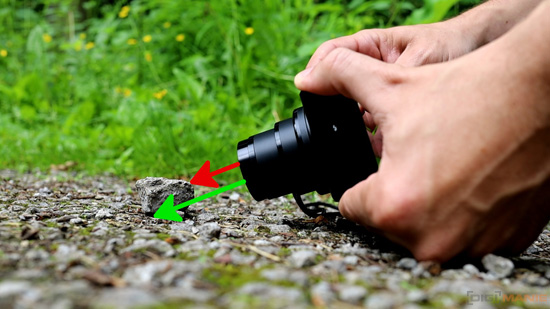 5 tipů pro lepší makro fotky kompaktem a ultrazoomem