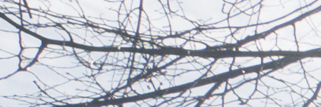 Panasonic Lumix G Vario 12-32mm f/3.5-5.6 ASPH. / MEGA O.I.S.