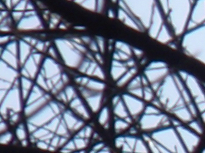 Olympus mju 9000: 10× ultrazoom v kompaktním balení