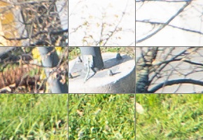 Panasonic Lumix S 24-105mm F4 Macro O.I.S.