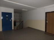 Fujifilm X-S1: jedinečný