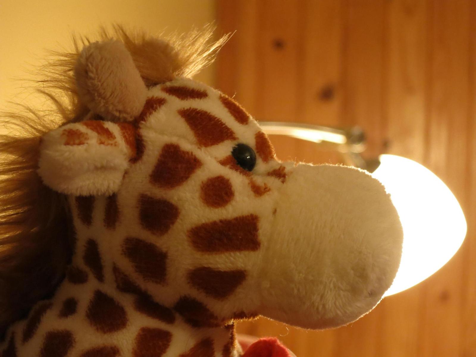 Canon PowerShot S110: solidnost do kapsy