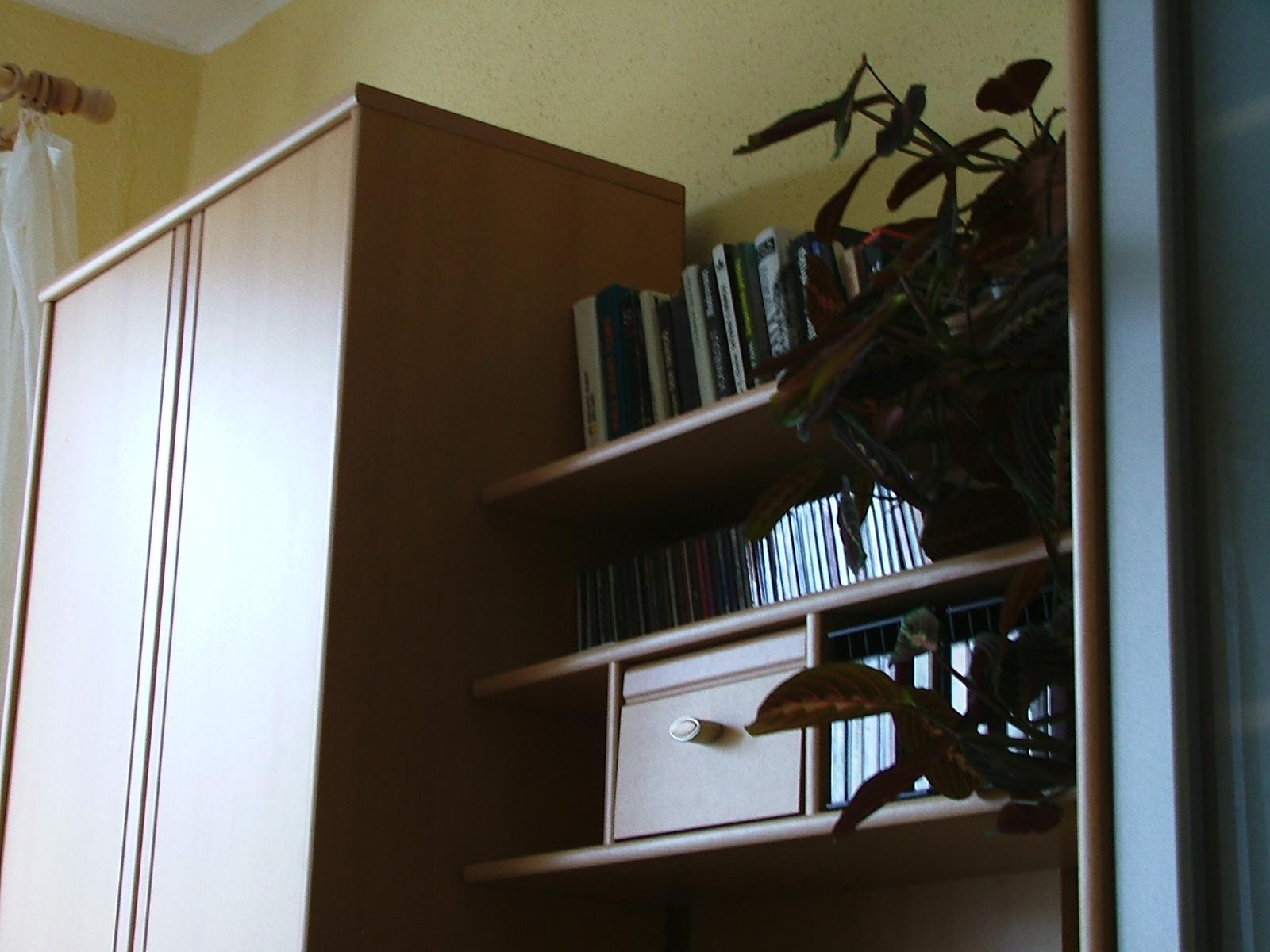 S5000: přitažlivá třímegová EVFka