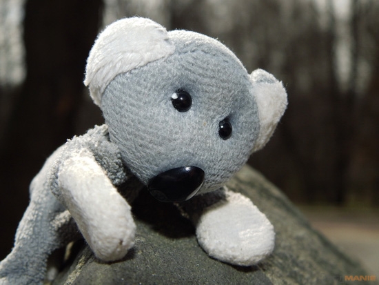 Fotíme s Koalou: Protisvětlo, HDR a odrazné... cokoli