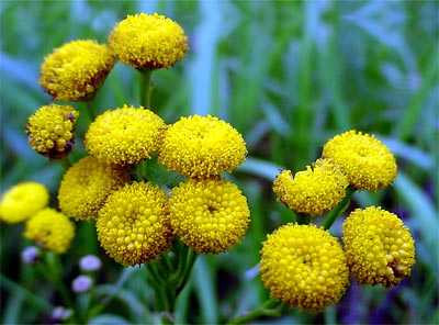 Jaký digitální fotoaparát na dovolenou? – 5.díl