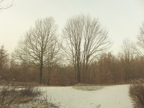 Panasonic Lumix LX7: kompaktní hvězda noci