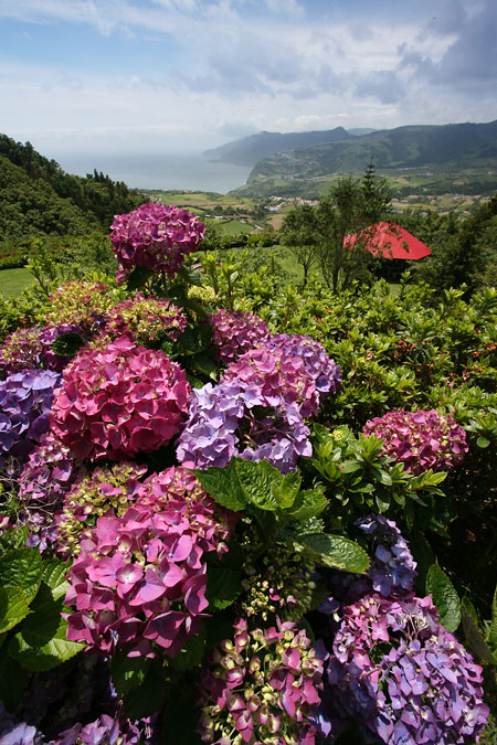 Azorské ostrovy – svátek fotografie: I.