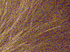 Fujifilm FinePix HS20EXR: důstojný nástupce