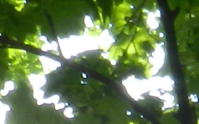 Nikon Coolpix P500: univerzální dalekohled