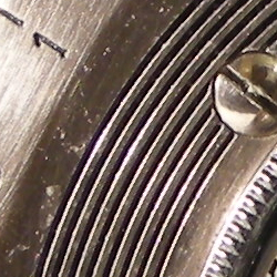 Nikon Coolpix P5100: trpělivý profesionál