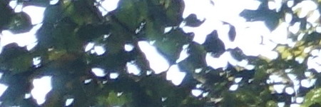 Sony Cyber-shot RX100 III (RX100M3): superSony