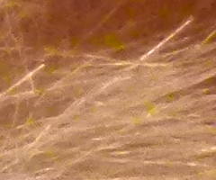 Panasonic Lumix FZ45 a FZ100: na vrcholu