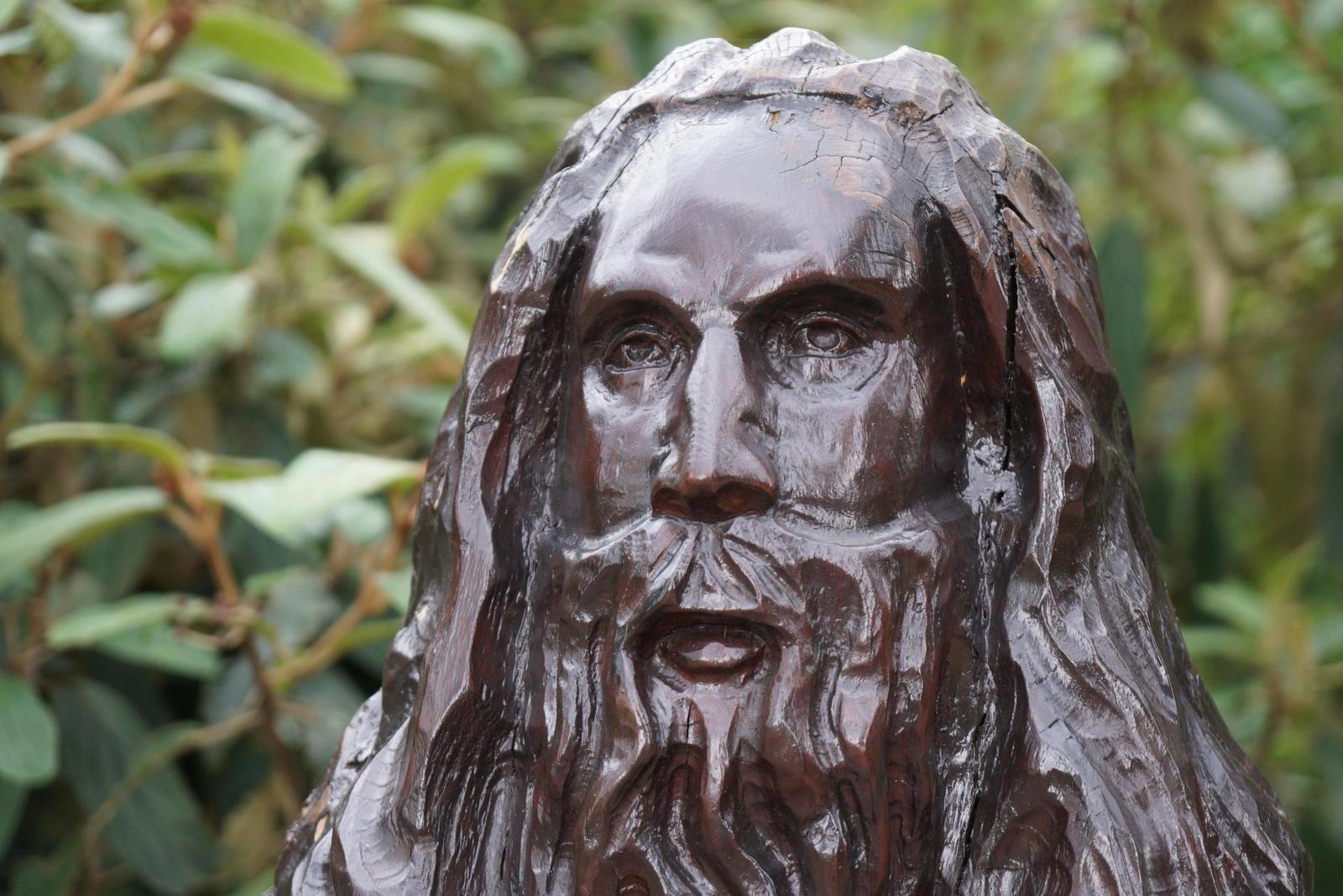 Sony Carl Zeiss Vario-Tessar T* 16-70mm F4 OSS (SEL1670Z)