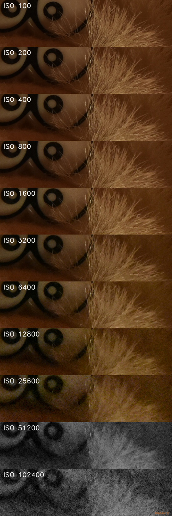 Nikon D7200: přesvědčivé zrcadlo