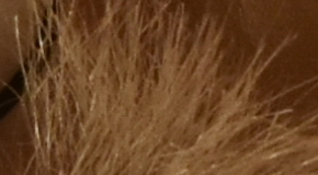 Nikon D7200: přesvědčivé zrcadlo