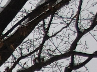 Dva objektivy nebo jeden ultrazoom?