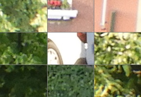 Nikon Coolpix B700: přírodovědec