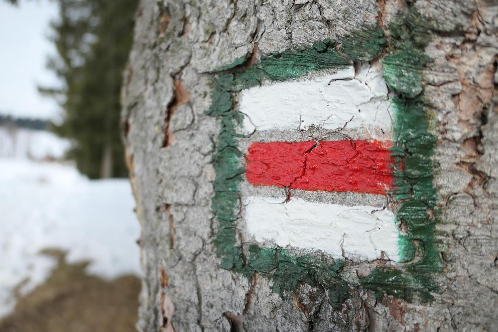 Panasonic Lumix LX15: noční borec