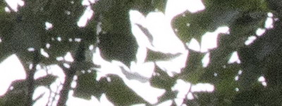 Nikon 18-55mm f/3,5-5,6G AF-S DX VR