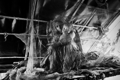 Vítězové Sony WPA 2009 vyhlášeni