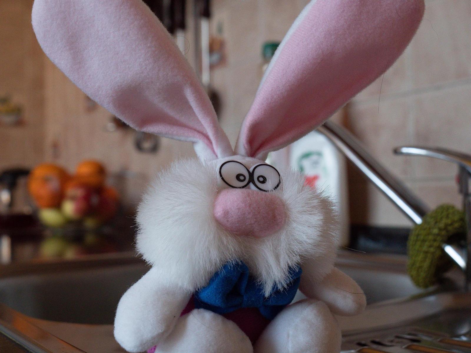 Srovnání senzorů: 4/3" vs APS-C vs Full frame