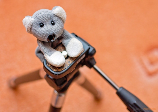 Fotíme s Koalou: Stabilizace