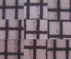 Canon PowerShot G11: géčko, o jakém jsme snili