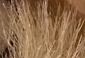 Olympus OM-D E-M5: elegantní fotokladivo