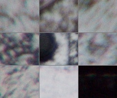 Sony SAL-18250 (DT 18-250mm F3,5-6,3)