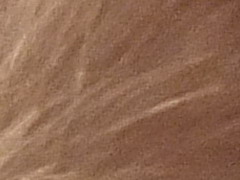 Fujifilm FinePix HS20EXR: důstojný nástupce