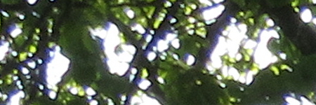 Canon PowerShot SX720 HS: kapesní šmírování